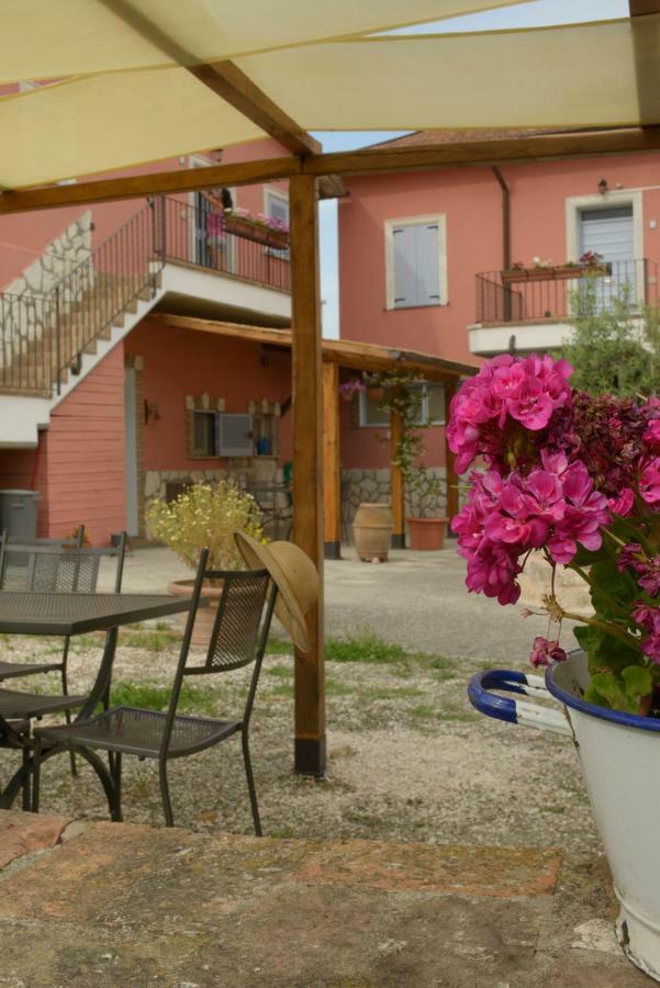 Agriturismo Colle Al Sole Apartment Castiglione del Lago Exterior photo
